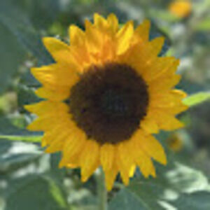 Meet your Posher, Ashleigh